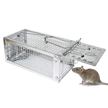 trappola meccanica per topi